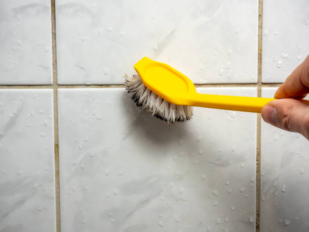 Best Water Damage Restoration  in Bret Harte, CA
