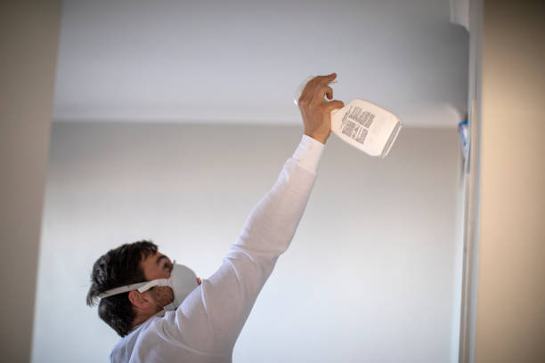 Best Affordable Mold Removal  in Bret Harte, CA