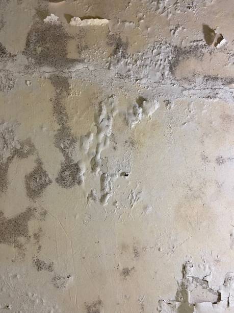 Best Water Damage Restoration  in Bret Harte, CA